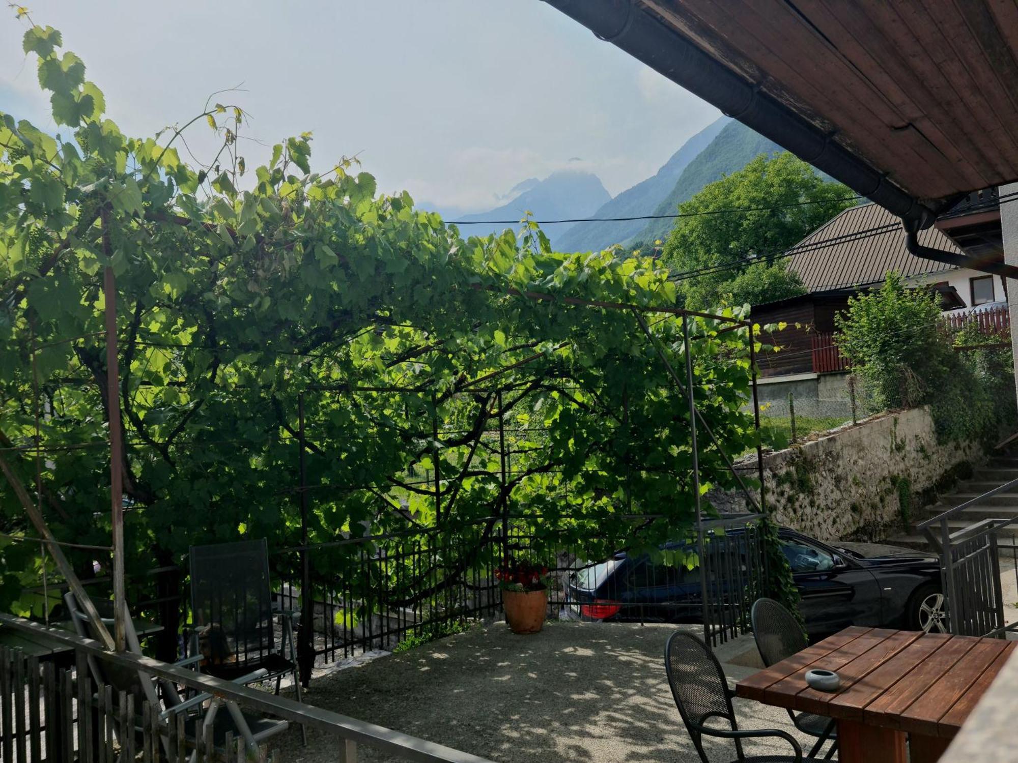 Apartments Bovec Dana Exterior foto